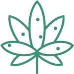 маленькие сорта