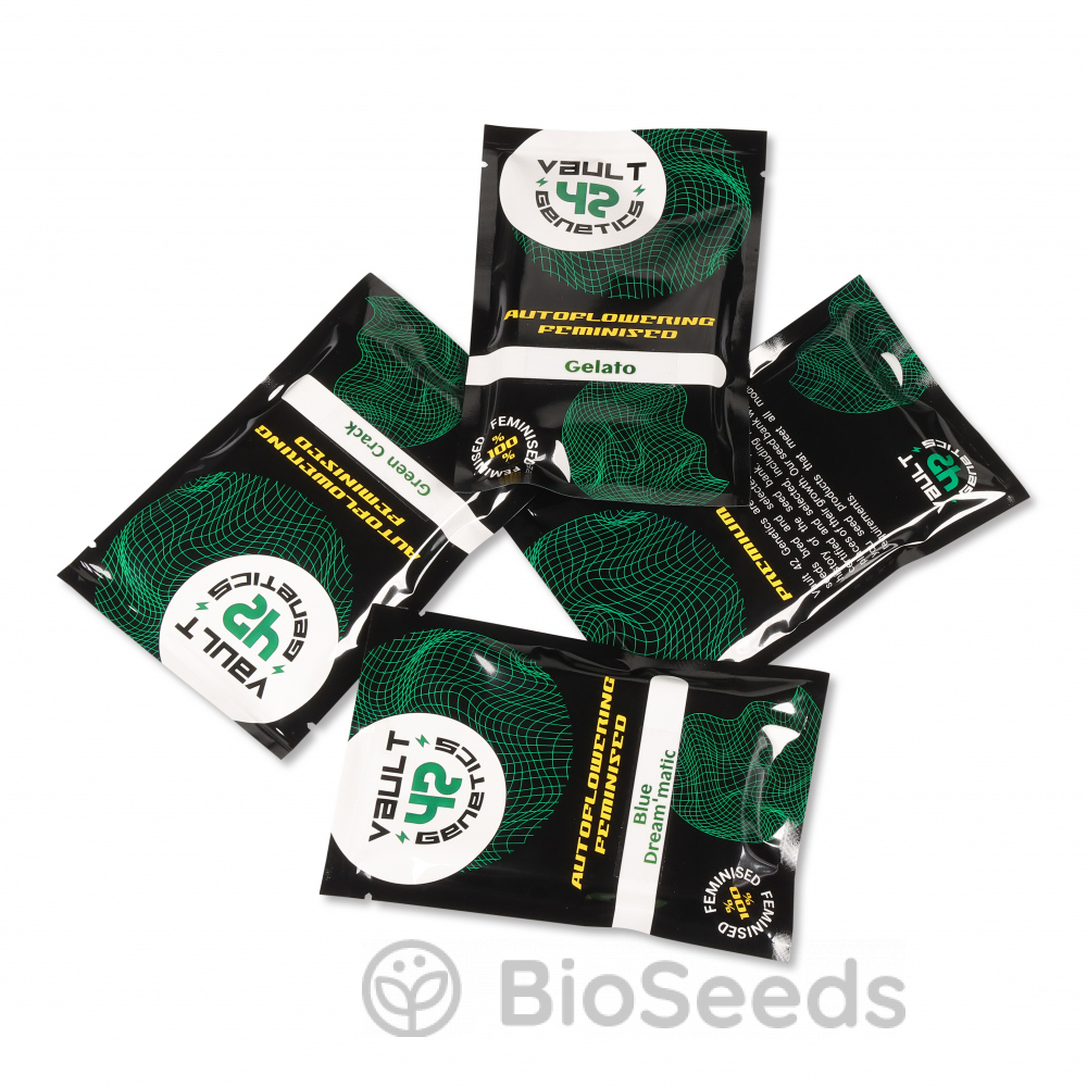 Blackberry Auto Fem.