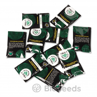 White Widow Auto Fem.