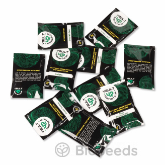 Strawberry Pie Auto Fem.