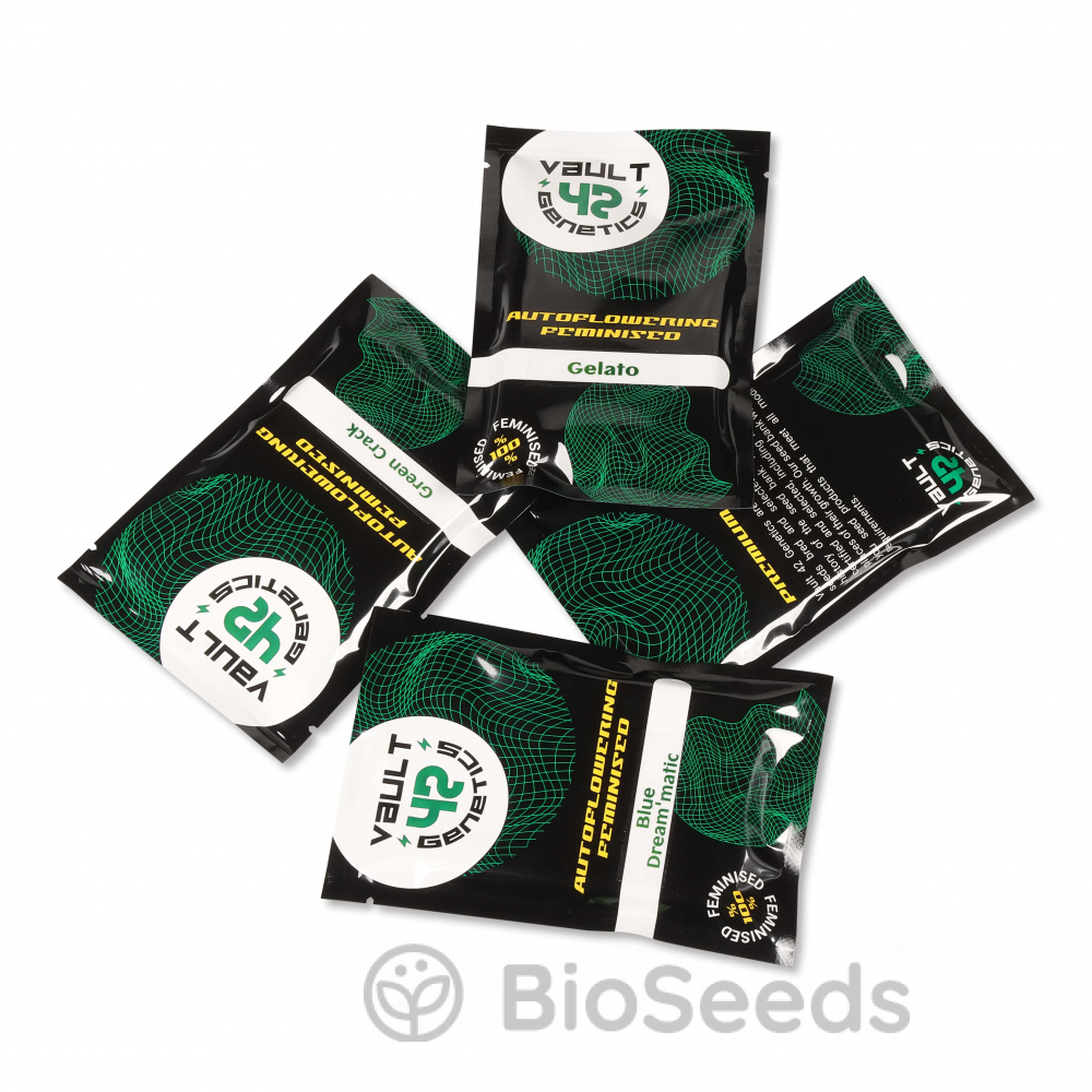 Animal Face Auto Fem.